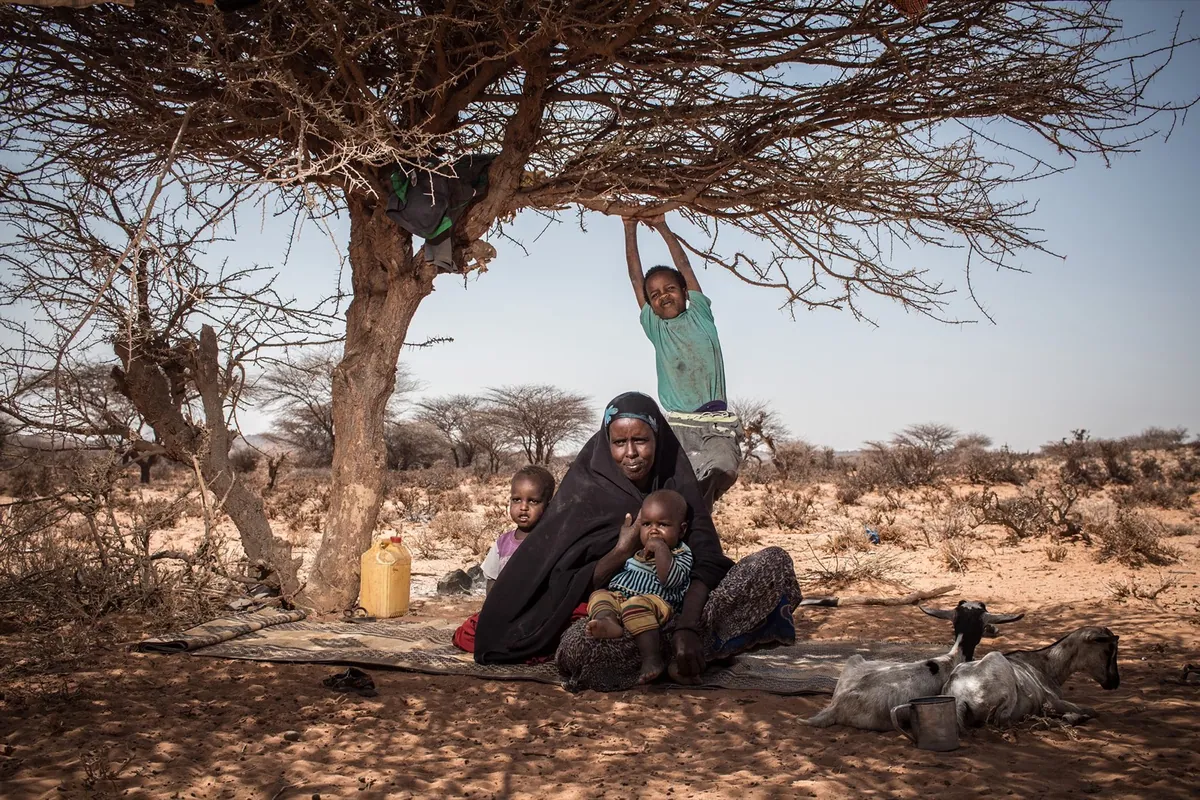 BBC, photo 04. Deeqa and her children rest in the shade of a tree near their home outside Kiridh.