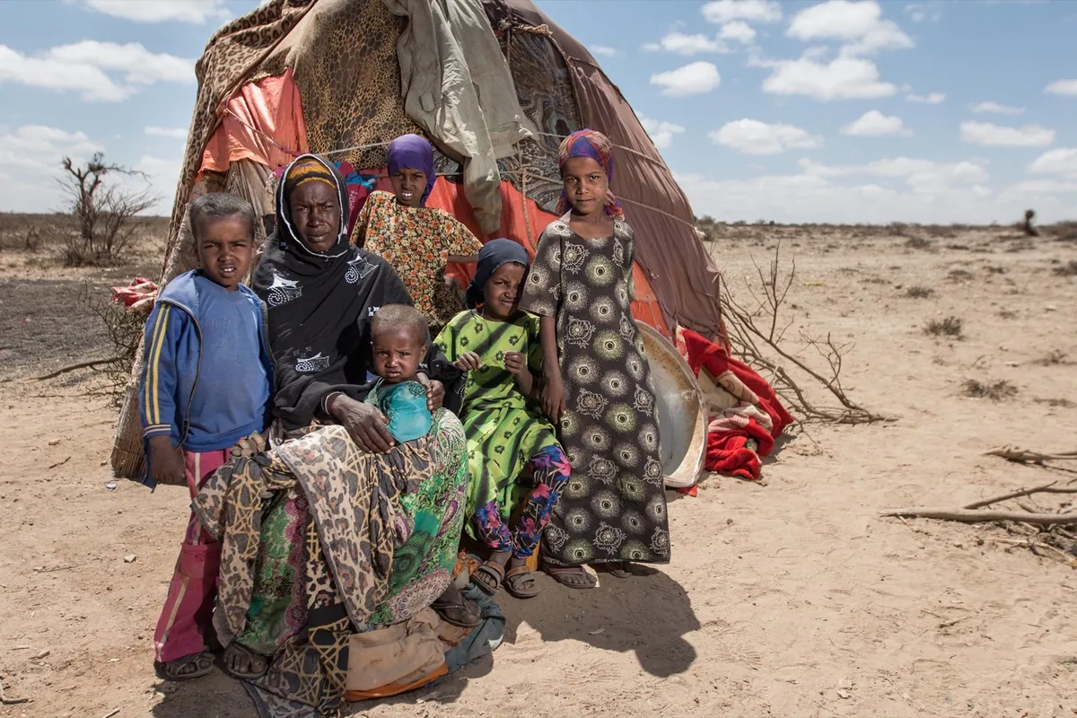 BBC, photo 08. Haali Noor left the drought-hit east of Somaliland with her five children and a few animals.