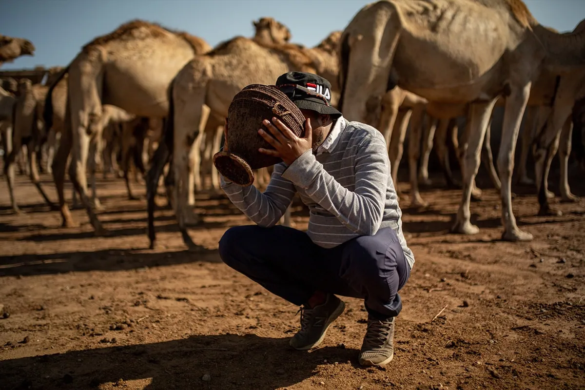 WSJ, photo 01. Mohamed drinks fresh milk from a gorof, a bowl used to hold milk while milking a camel.